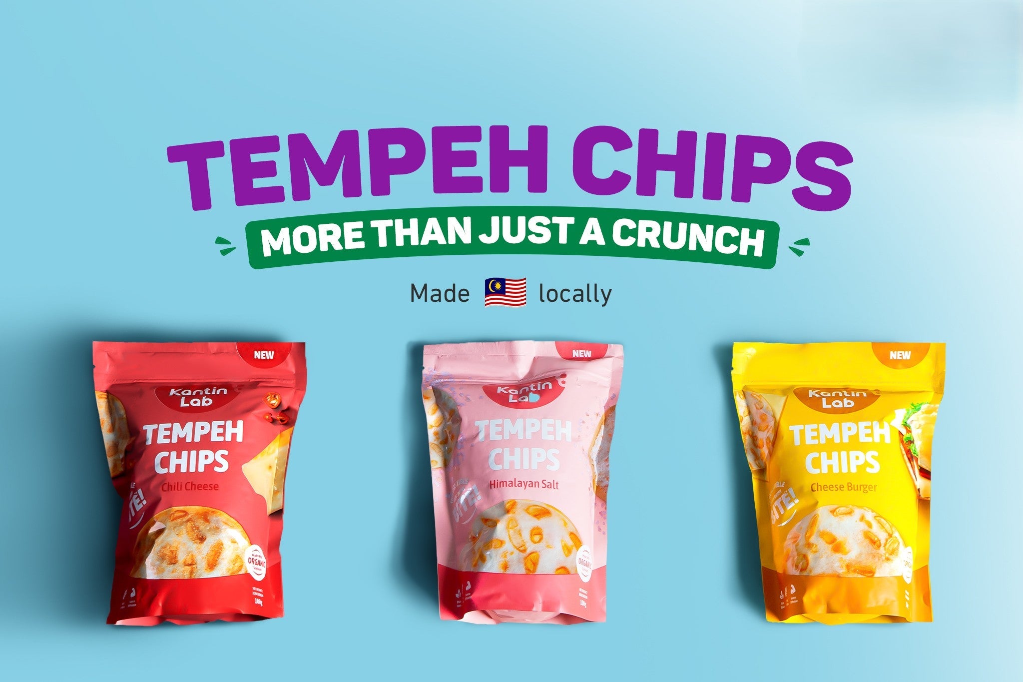 TEMPEH CHIPS